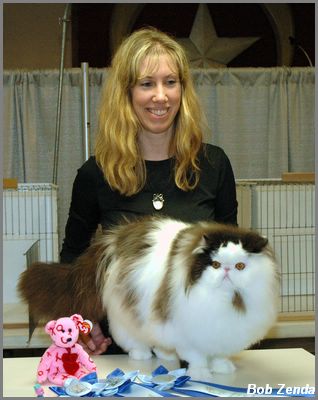 Designerpurr Az Jax of Purrden Me